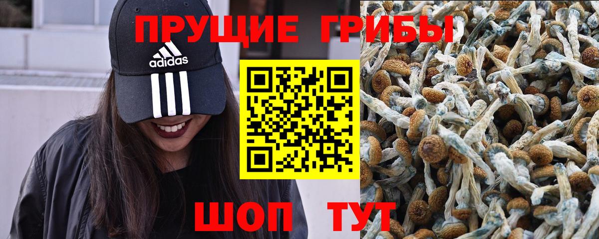 Псилоцибиновые грибы Magic Shrooms  Вход с VPN  Таганрог 